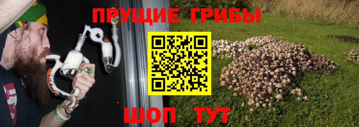 Псилоцибиновые грибы MAGIC MUSHROOMS  Вход с VPN  Невинномысск  Псилоцибиновые грибы MAGIC MUSHROOMS 